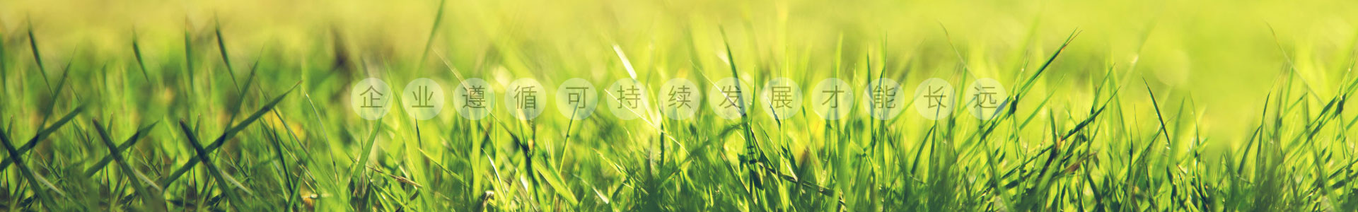 开云（Kaiyun）